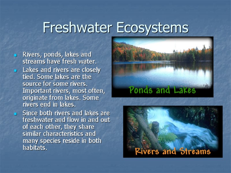 Freshwater Ecosystems Rivers, ponds, lakes and streams have fresh water. Lakes and rivers are